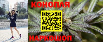 гидра Обнинск