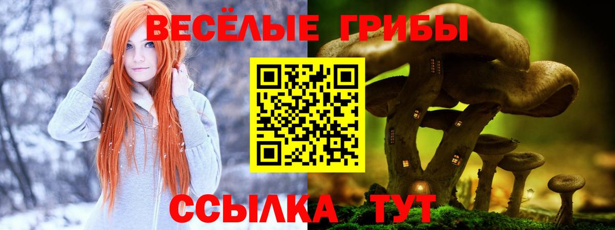 Псилоцибиновые грибы GOLDEN TEACHER  Вход с VPN  где купить наркоту  Тольятти 